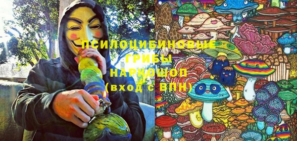 таблы Струнино